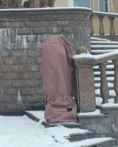 Чохол на статуї